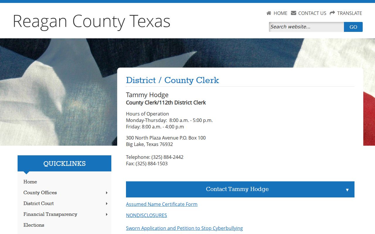 Reagan County criminal court case combined clerk counter information